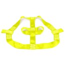 Rear Wheel Tie-Down Belt, yellow