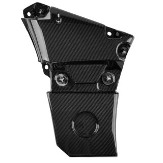 Carbon Battery Cover for BMW R18