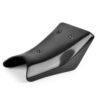 BMW S1000RR Carbon-Fibre Seatplate with Substruction, glossy, 15>>18